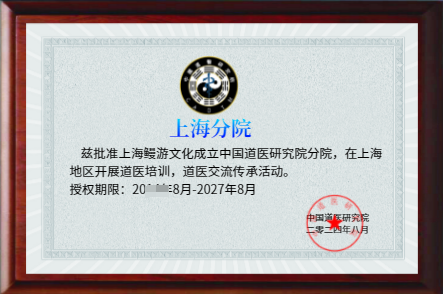 上海分院